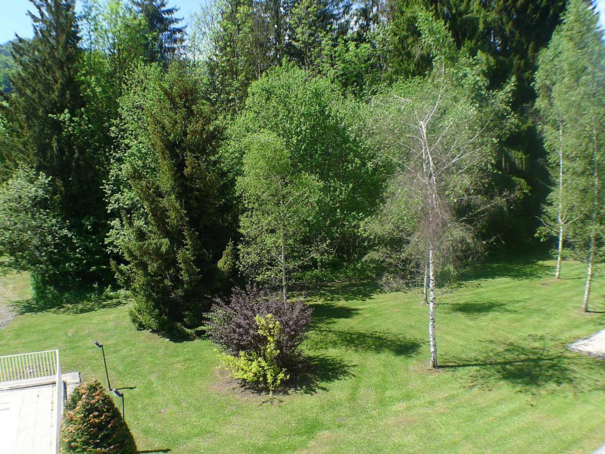 Appartement Cosy Avec Piscines, Parking Et Wifi A Samoens - Fr-1-629-32 Samoëns Exterior foto